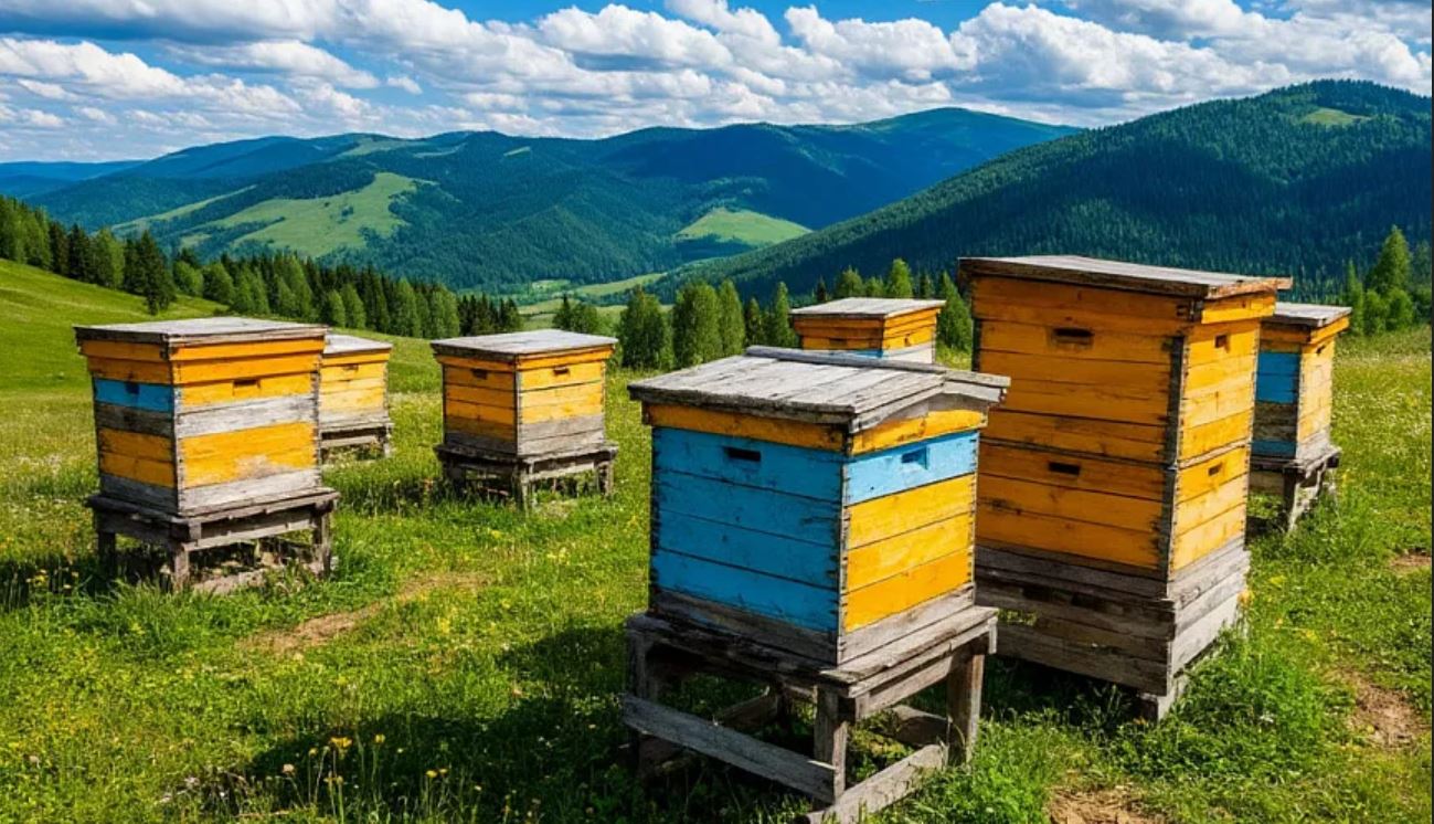 Высокогорные пасеки Кыргызстана